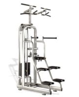 Easy chin/dip M987 Technogym