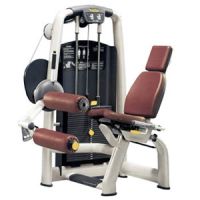 Ischio jambier M990 Technogym